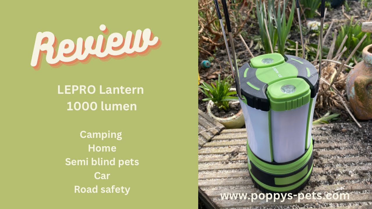 Save Electricity in the Home - Also Use for Camping, Power Outrages, Night Fishing, Dementia Pets