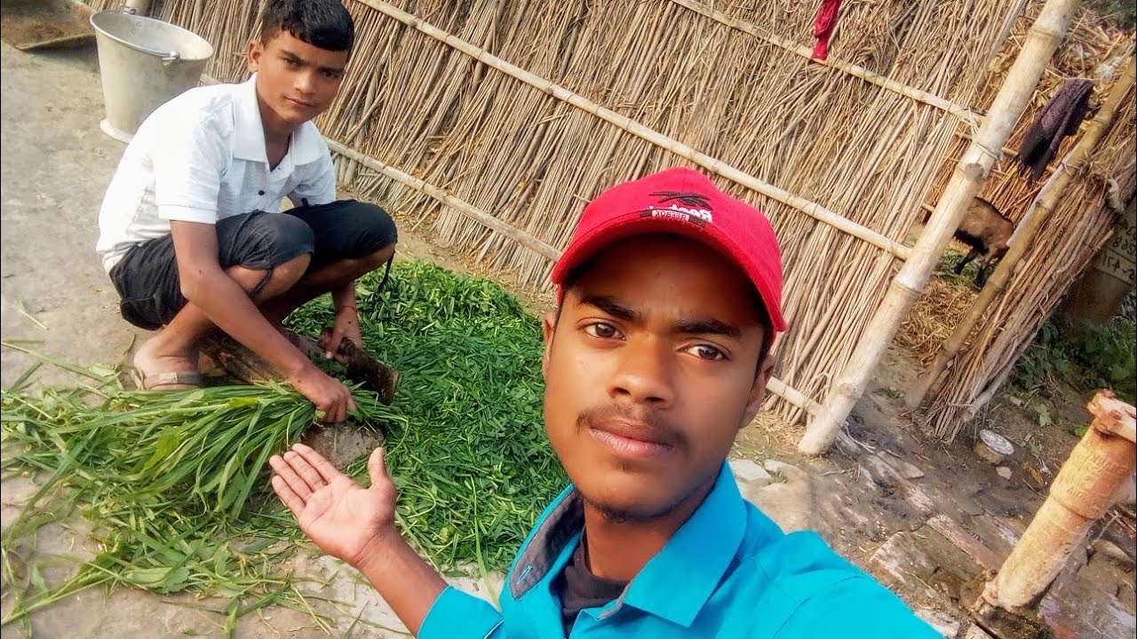Itna Sara ghas hath se kat deya Priyanshu 😍