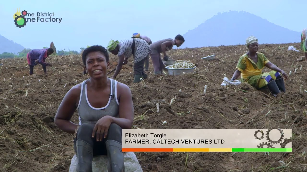 THE ROAD TO GHANA'S INDUSTRIALIZATION WEEK,ONE DISTRICT ONE FACTORY DOCUMENTARY  GOVERNMENT OF GHANA