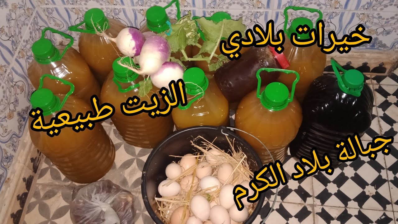 كيف يعصر🌳زيت الزيتون🌿المغربي الاصيل- جبالة - بالطريقة العصرية والتقليدية_منطقة جبلية(تروال)🍯🐝🐓🐣🍈