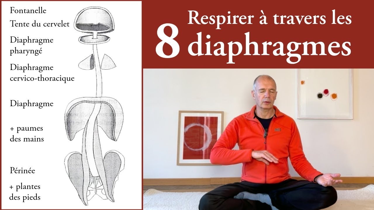 Respirer avec les 8 diaphragmes, méditation guidée du corps fluide