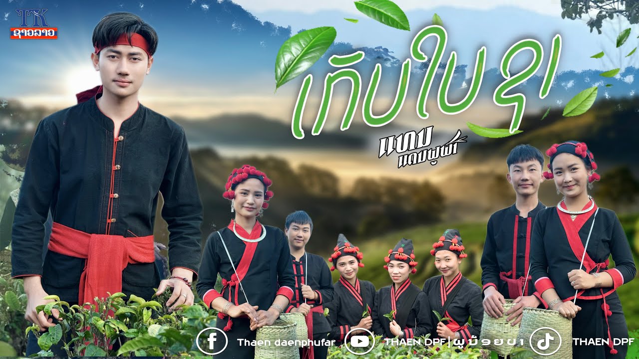 ເກັບໃບຊາ - ແທນ ແດນພູຟ້າ | เก็บใบชา - แทน แดนพูฟ้า【ເພງ ພູນ້ອຍ PHOUNOY VERSION 】