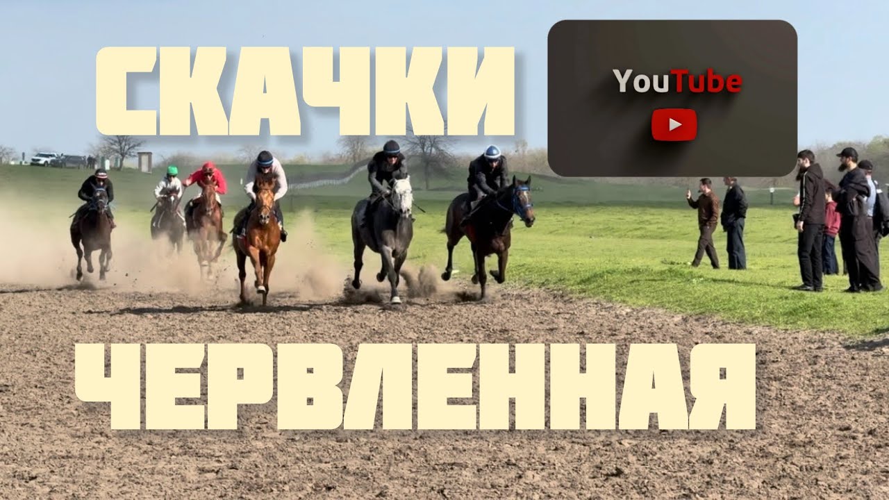 Скачки Червленная ЧР