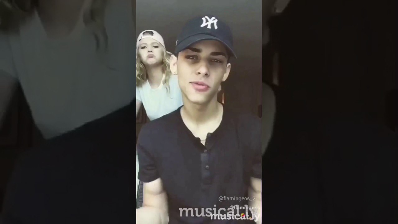 Flamingeos