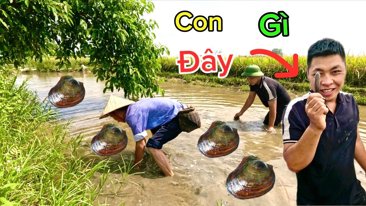 Mò Trai Trai Trên Cánh Đồng Quê Hương & Món Bún Ốc Ngon Nhức Đầu Của Bác Thông | HUY ANH TV