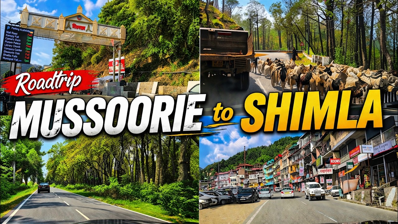 Ep. 10 || Road trip to Shimla || Pune to Shimla by Road || Shimla Vlog 