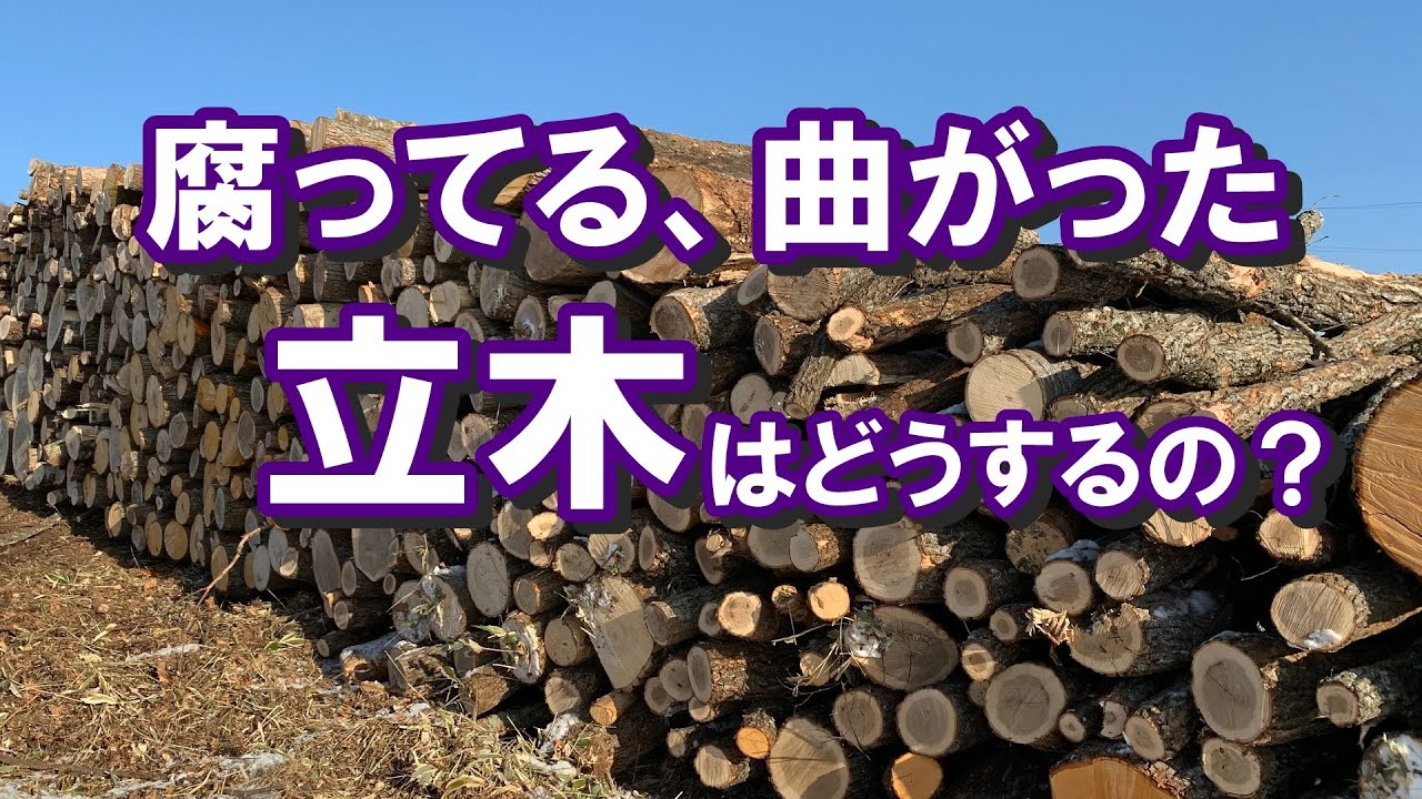 立木の使い道は２つ、建材の他は…？エネルギーとして木材を見る。無駄なく山林資源をつかう今と昔。
