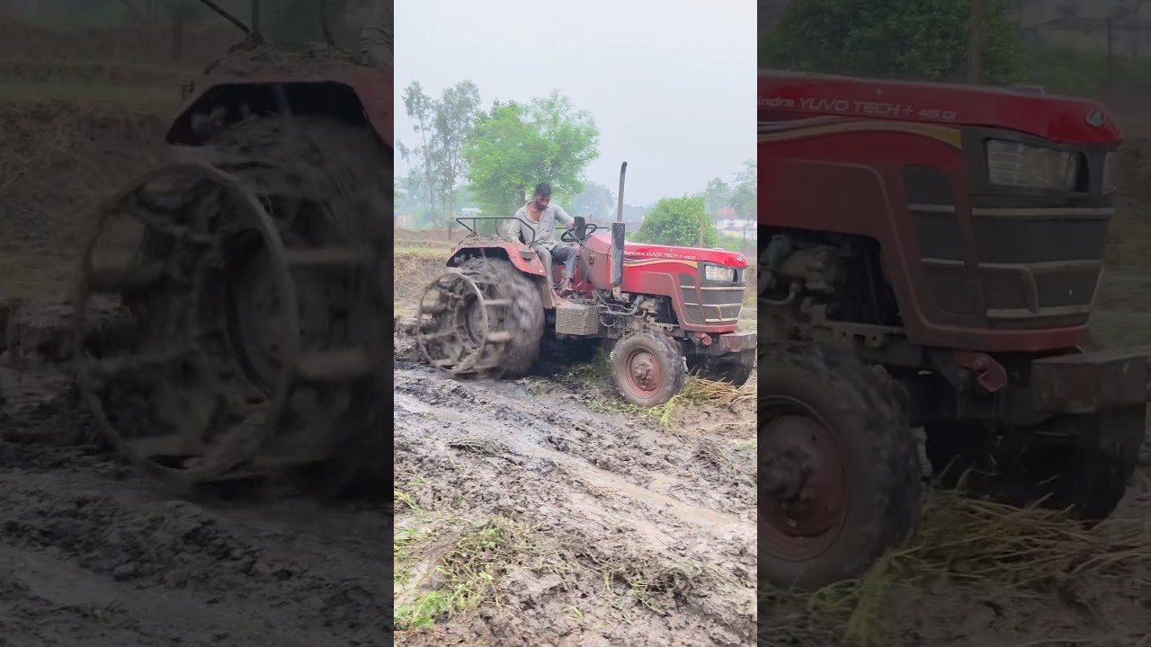 Mahindra yuva tech+415 Cultivation in mud