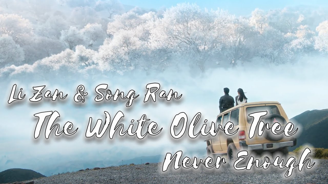 The White Olive Tree 🕊️​ Li Zan & Song Ran 🕊️​ Never Enough 🕊️​ FMV
