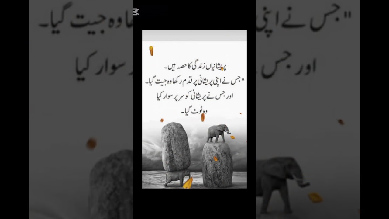 😞 #pathtopeace #thestoryofpath #allamaiqbalpoetry #quotes #pathsforus #poetry#whenpathsmeet #sadpoet