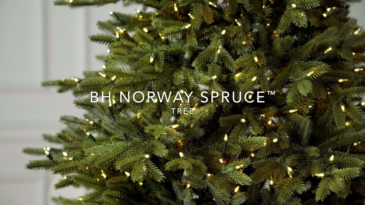 Balsam Hill&reg; | BH Norway Spruce&trade;