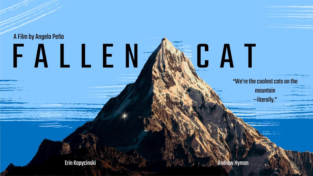 Fallen Cat Documentary
