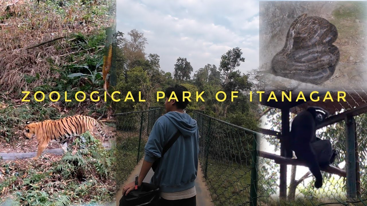 ZOOLOGICAL PARK OF ITANAGAR 🐅