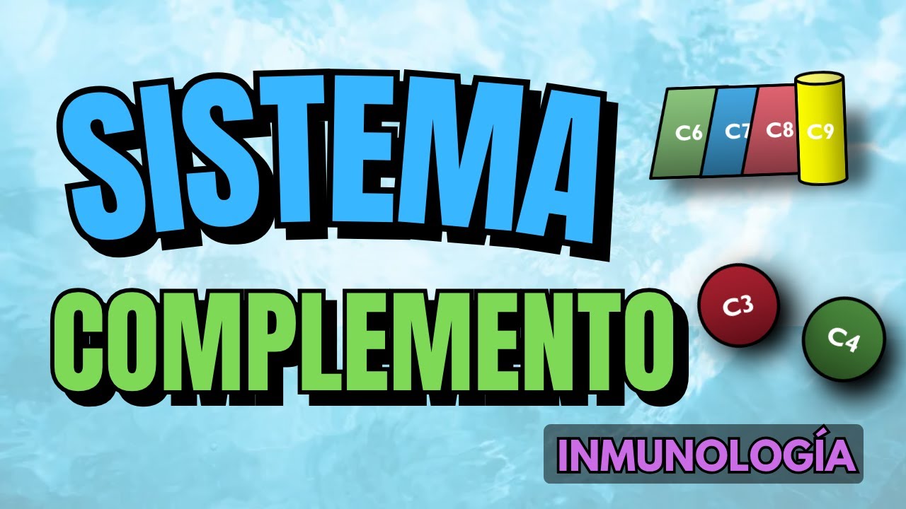 Sistema de Complemento explicado | Activación, regulación y clínica