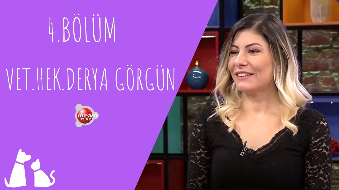 Fitoterapi nedir? Hayvanlarda bitkisel tedavi yöntemleri | ÇOK YAŞA CAN DOSTUM