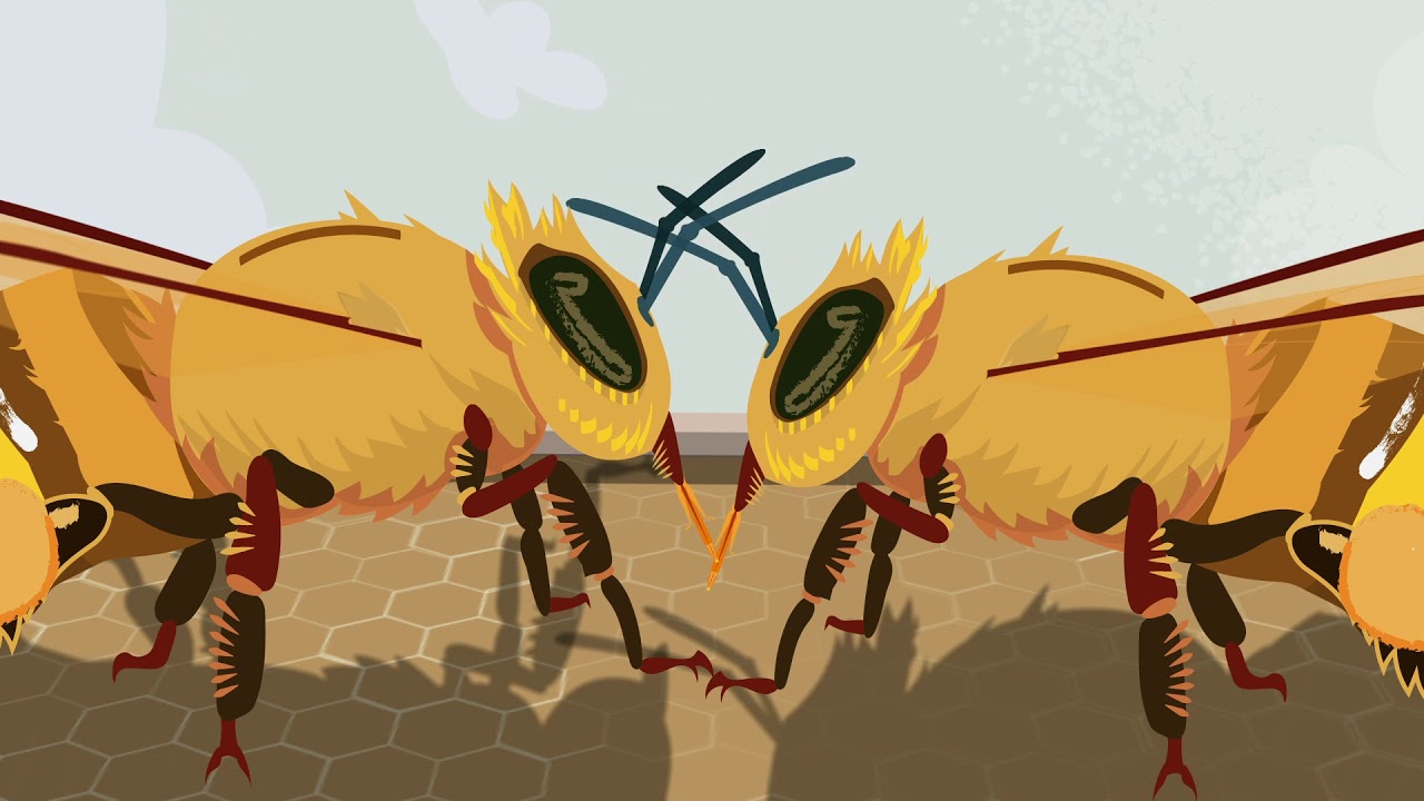 Round and Waggle Dance