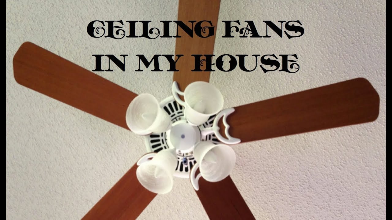 Ceiling Fans In My House (Volume 1)