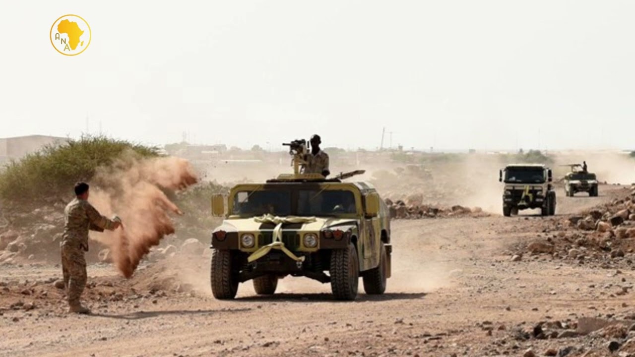 Djibouti drone strike kills at least 8 near Ethiopian border