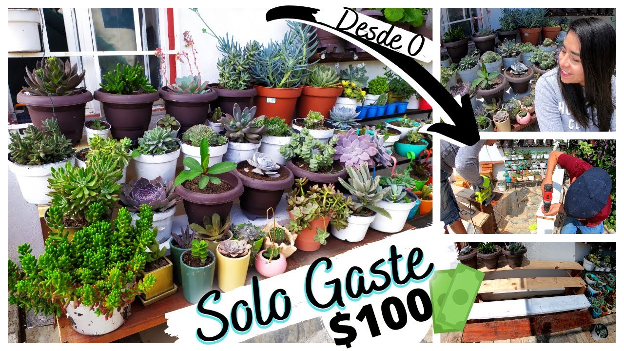 Mueble Para Suculentas Con Madera // Fácil y Económico  #MeliCostruye