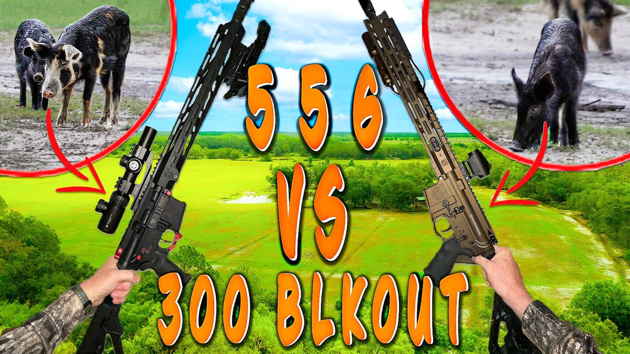 Какая винтовка AR-15 лучшая для охоты на кабана?