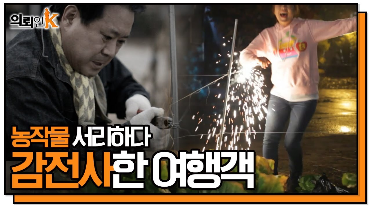 멧돼지를 쫓아내기 위해 설치한 전기 울타리였는데... [의뢰인K] | KBS 20111111 방송