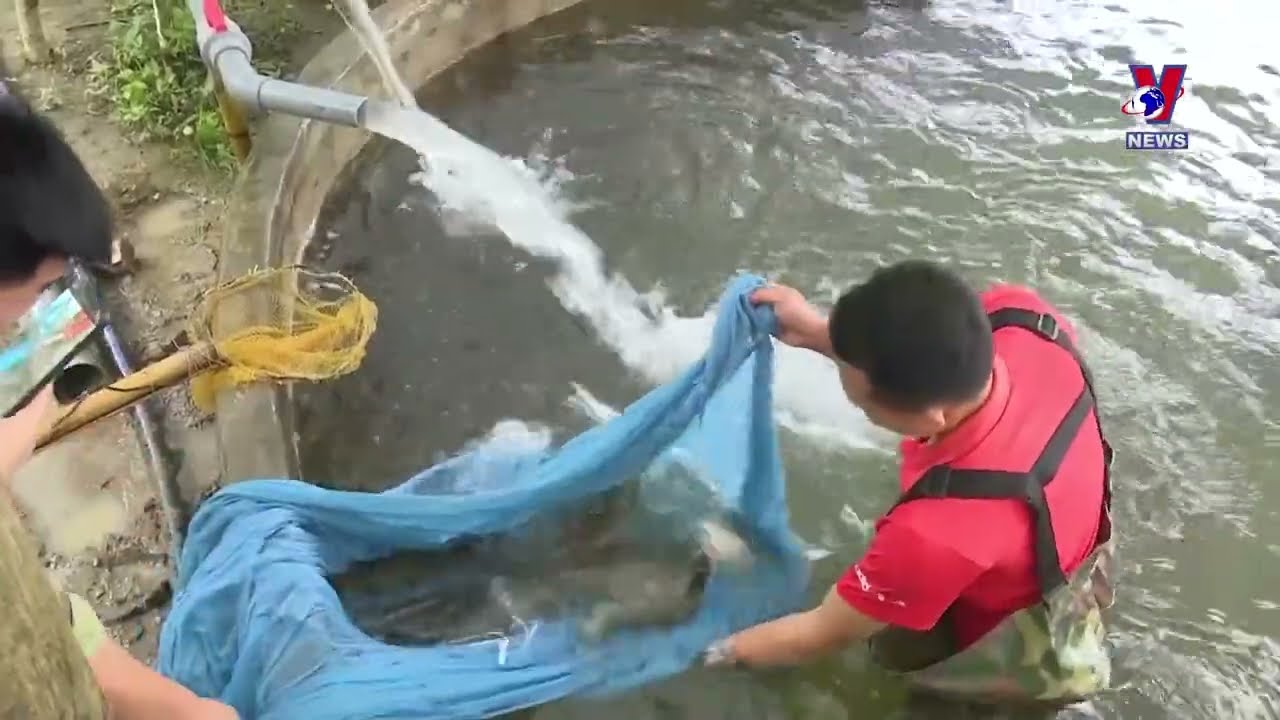 冷水性鱼类养殖与体验式旅游相结合的独特模式