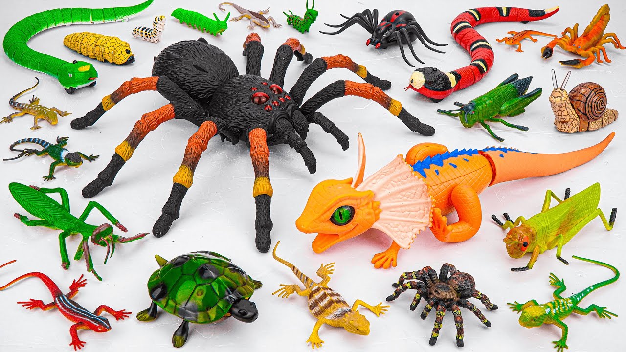 Ultimate ZURU Robo Alive Insects ASMR 🦎 Spider, Lizard, Snake, Worm 🐢 Review Toys (No Talking)