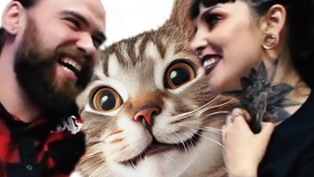 JINJER Makes You Love Them Even More