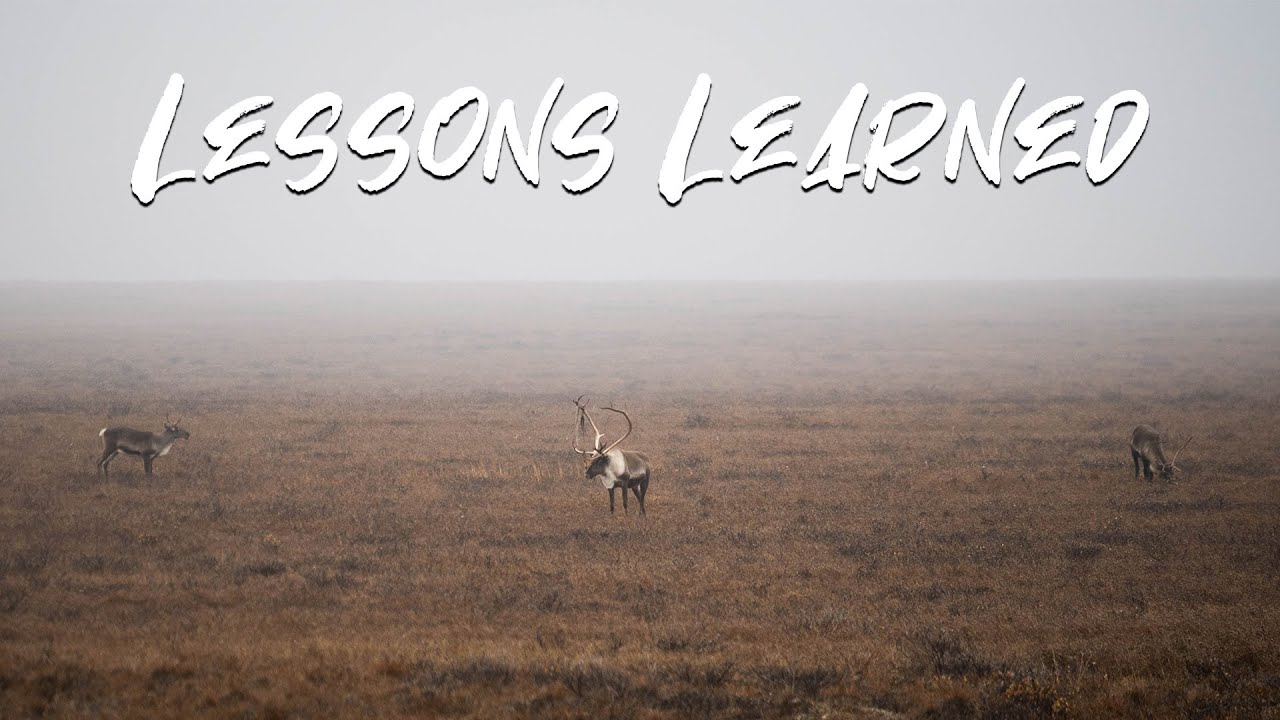 A Self-Guided Alaska Moose & Caribou Hunt | LESSONS LEARNED