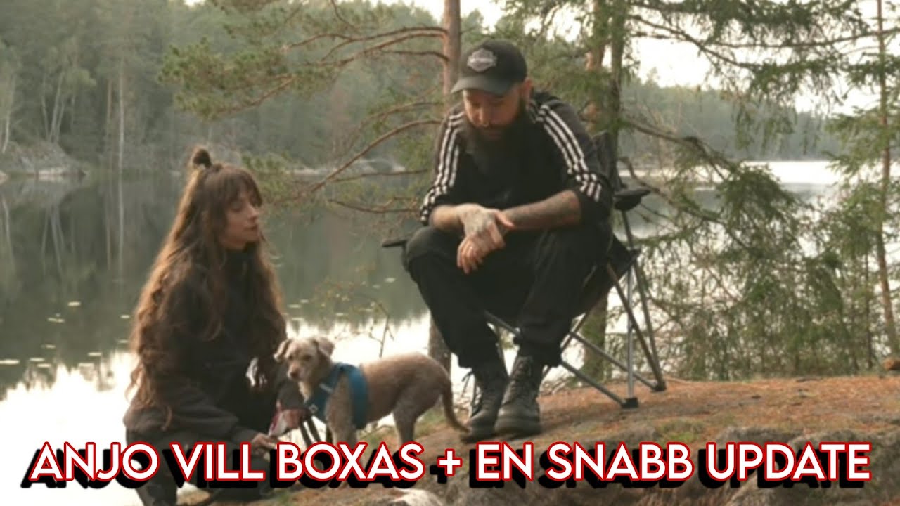 ANJO VILL BOXAS + EN SNABB UPDATE