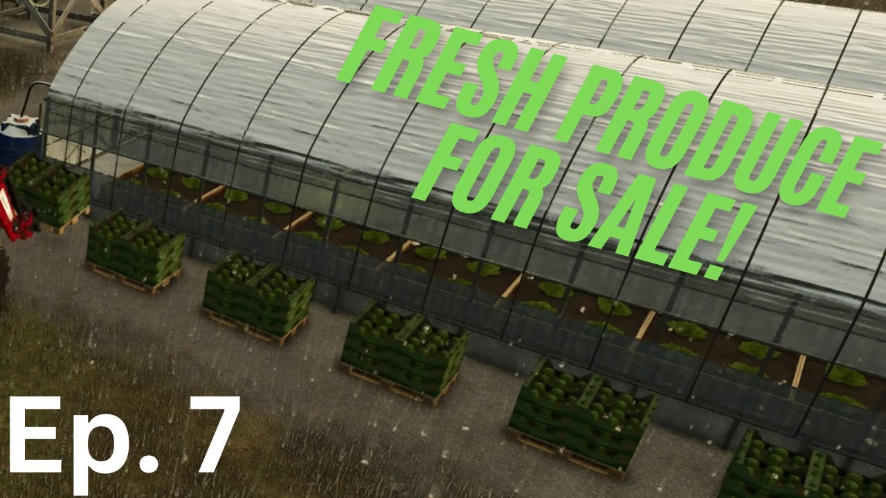 The farm is making money! - Survival - New Frontier - FS25