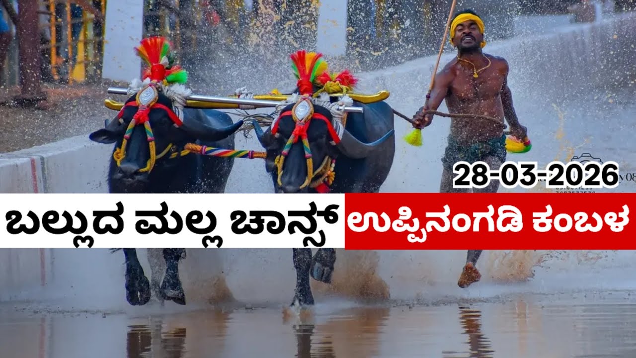 ಬಲ್ಲುದ ಮಲ್ಲ ಚಾನ್ಸ್,Balluda Malla Chance Uppinangady Vijaya Vikrama Jodukare Kambala 2026