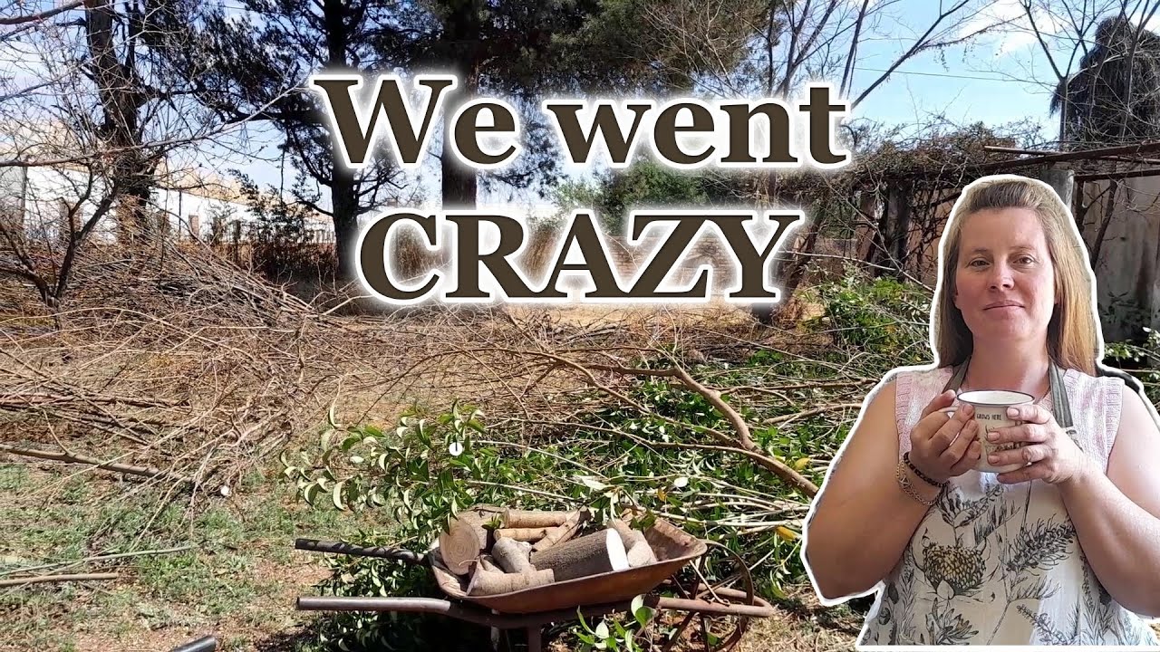 CUTTING down trees on the Farm | Daily Life Vlog