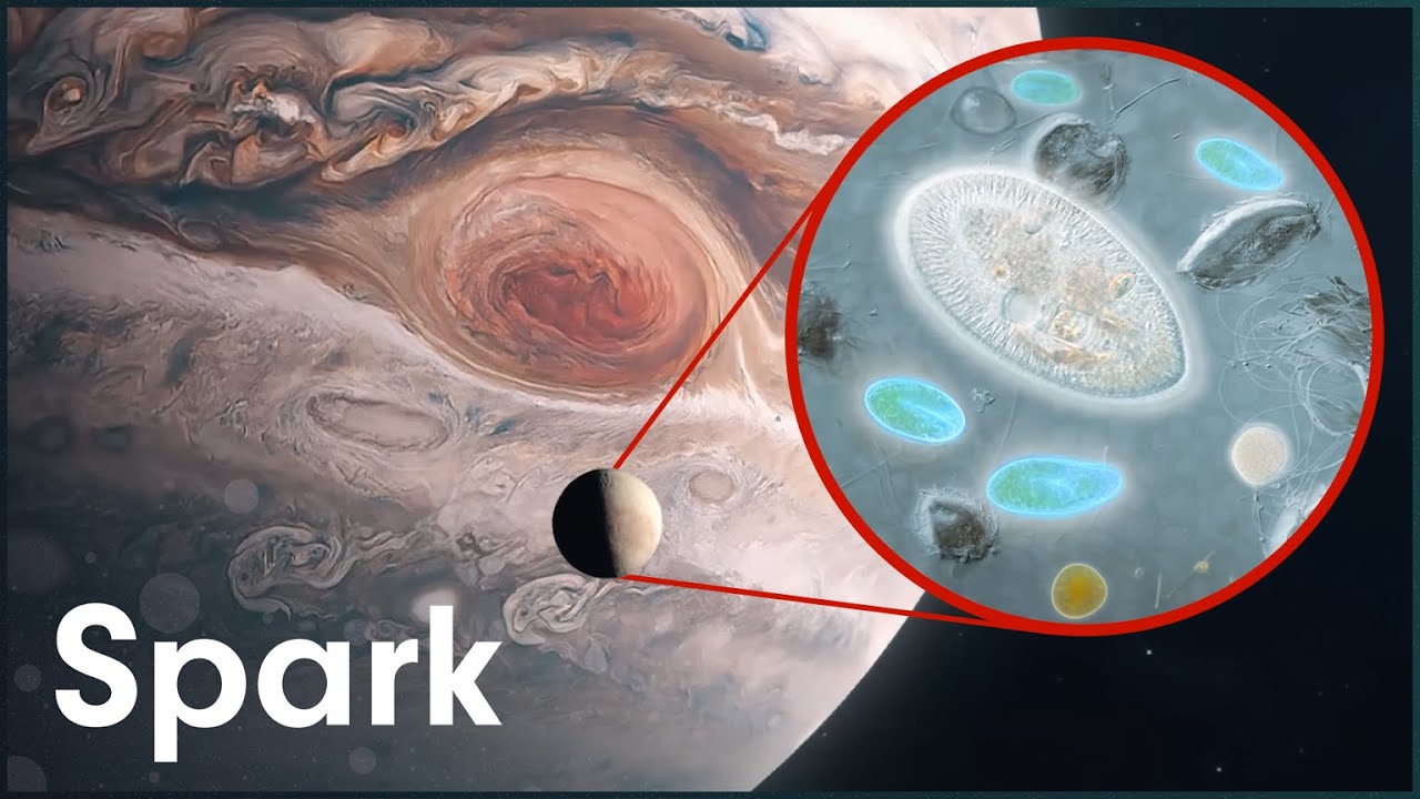 Could There Be Alien Life On Jupiter&rsquo;s Moons? | The New Frontier | Spark