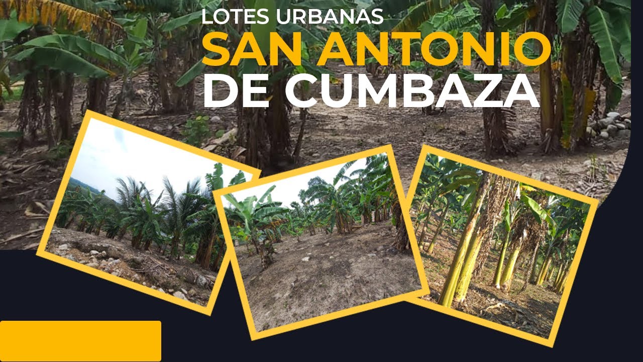 Wasi Terra: VENTA de LOTES Urbanas en SAN ANTONIO de Cumbaza