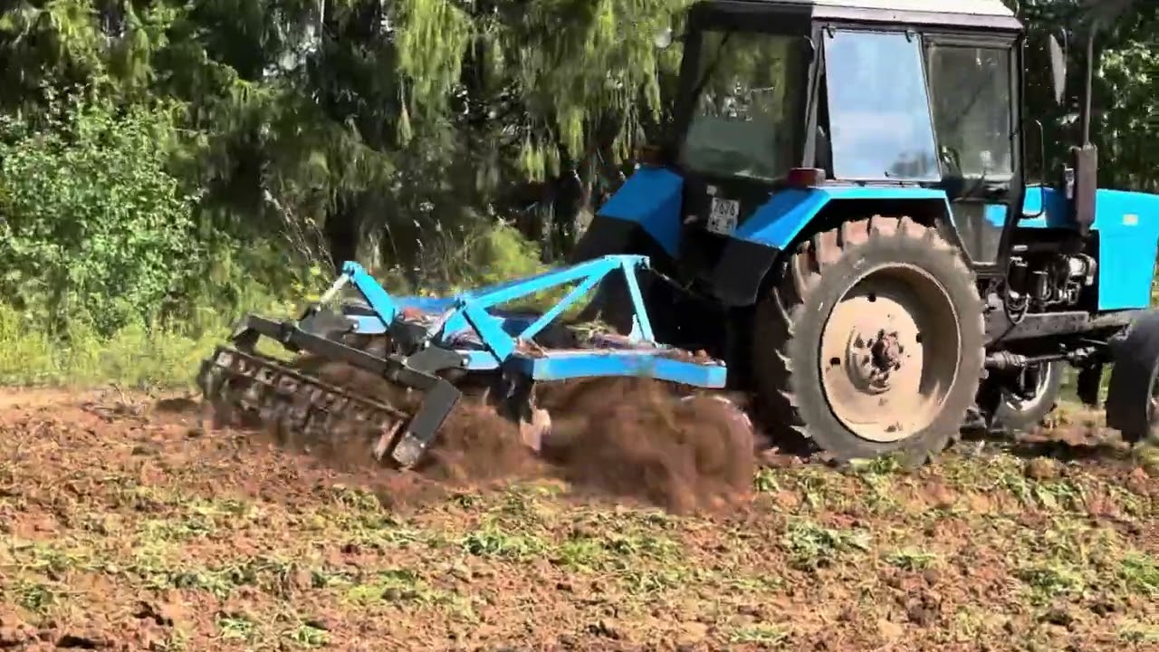 Дисковая борона БДФ-2,4 и МТЗ-82