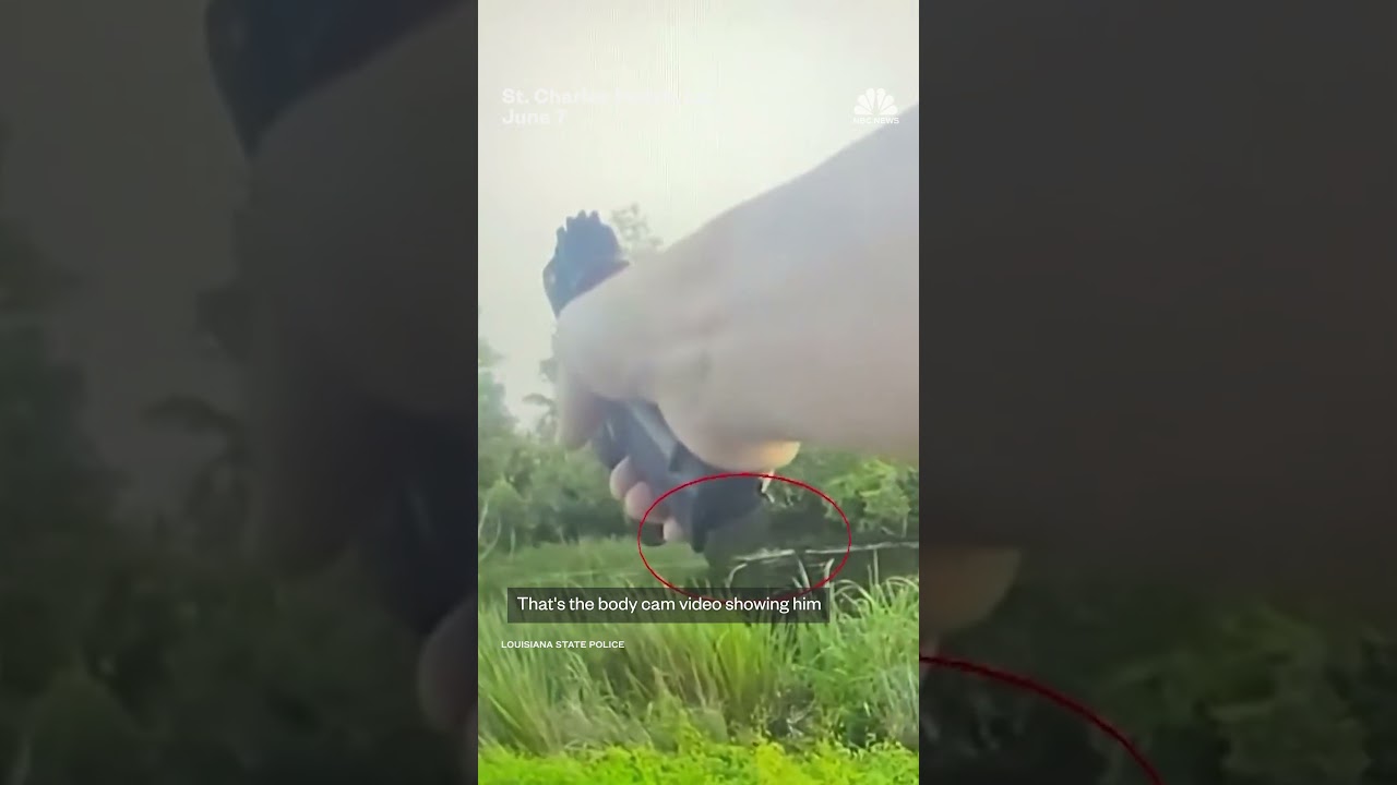 Man gets bitten by alligator after jumping in swamp to escape police