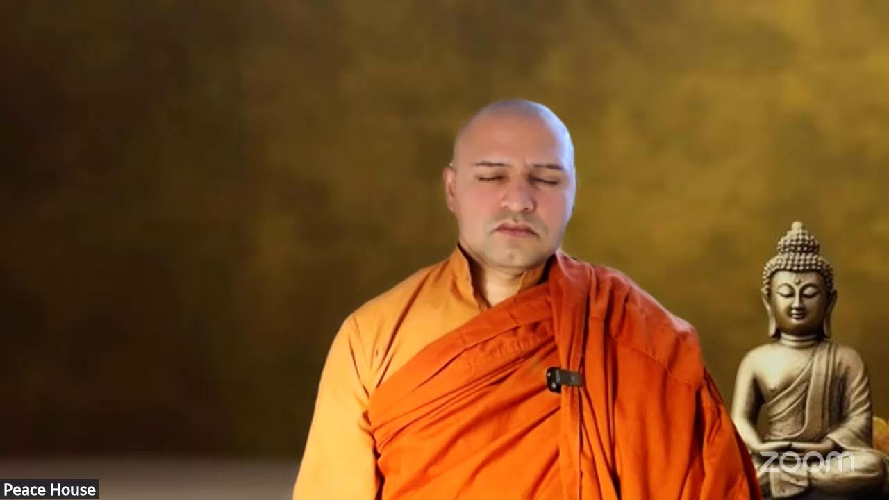 🕊️ Guided Breath Meditation | Inspired by the Bahiya Sutta 🕊️
