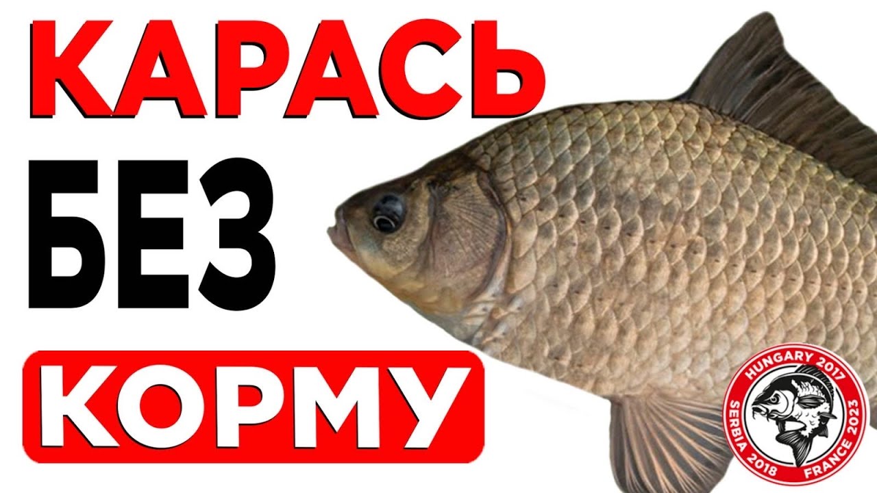 Як ВИБРАТИ найкращу насадку і оснастку для ЛОВЛІ КАРАСЯ навесні