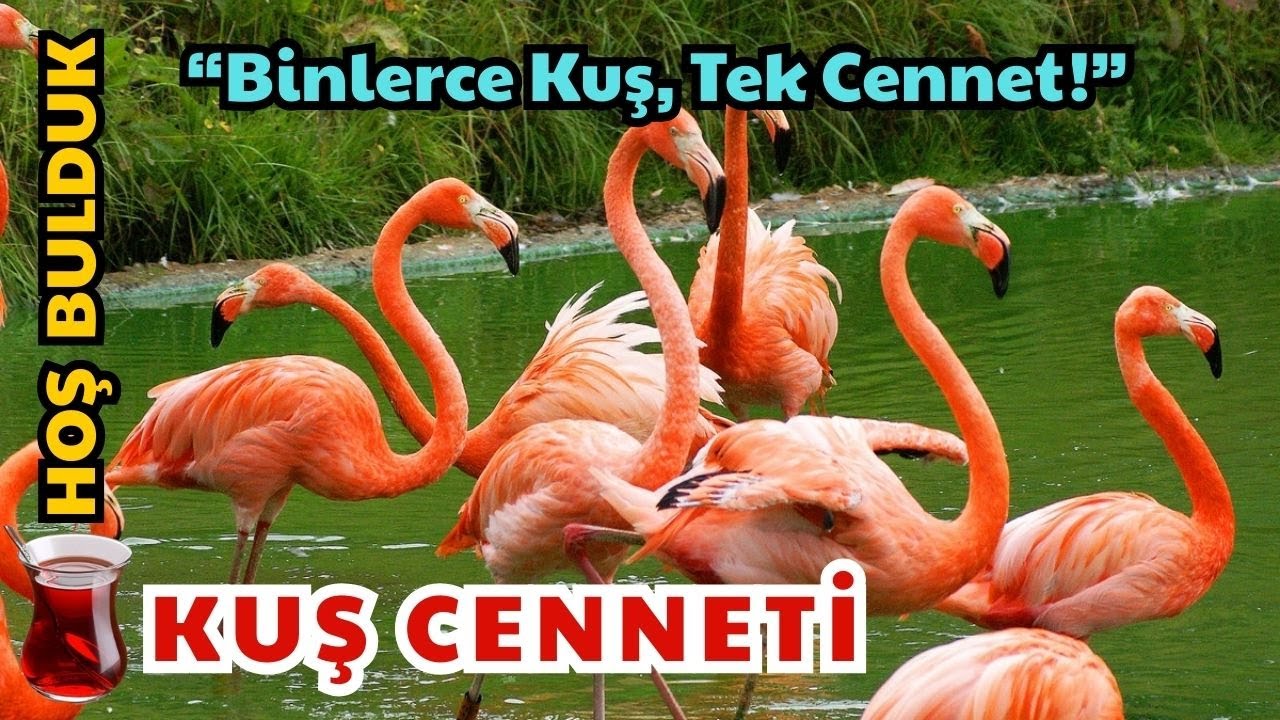 KARAVAN GEZİLERİ | KUŞ CENNETİ | Doğanın Kalbinde Bir G&uuml;n (123. B&ouml;l&uuml;m)