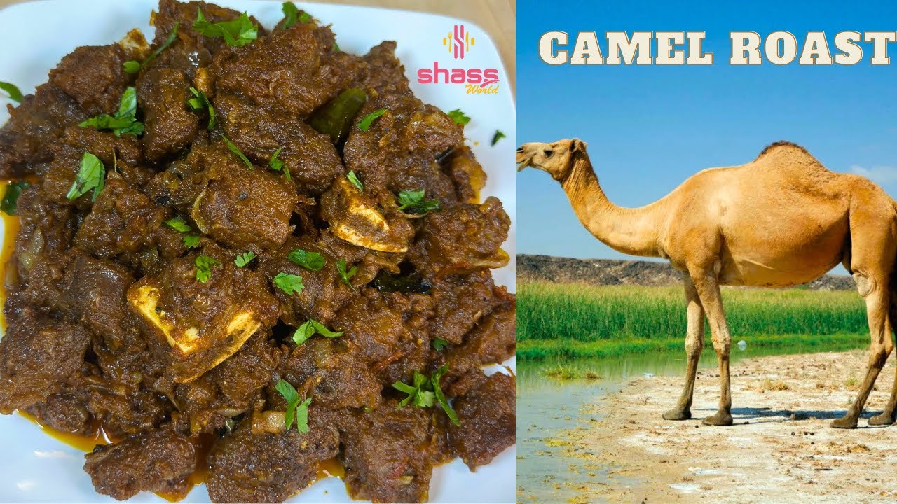 Camel Meat Recipe | Camel Roast Recipe Malayalam | Camel Roast Kerala Style | SHASS WORLD 381