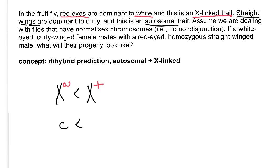 Genetics: not a problem. X-linked genes.
