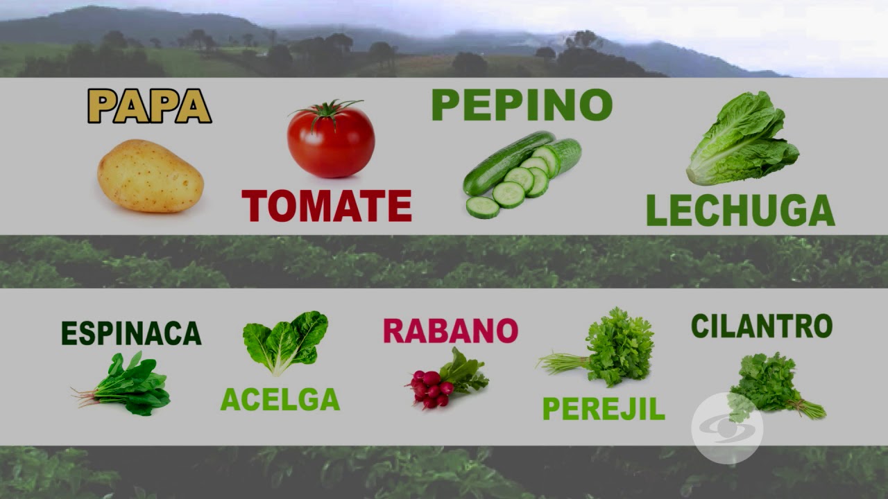 Insecticida natural para el cultivo de papa | La Finca de Hoy