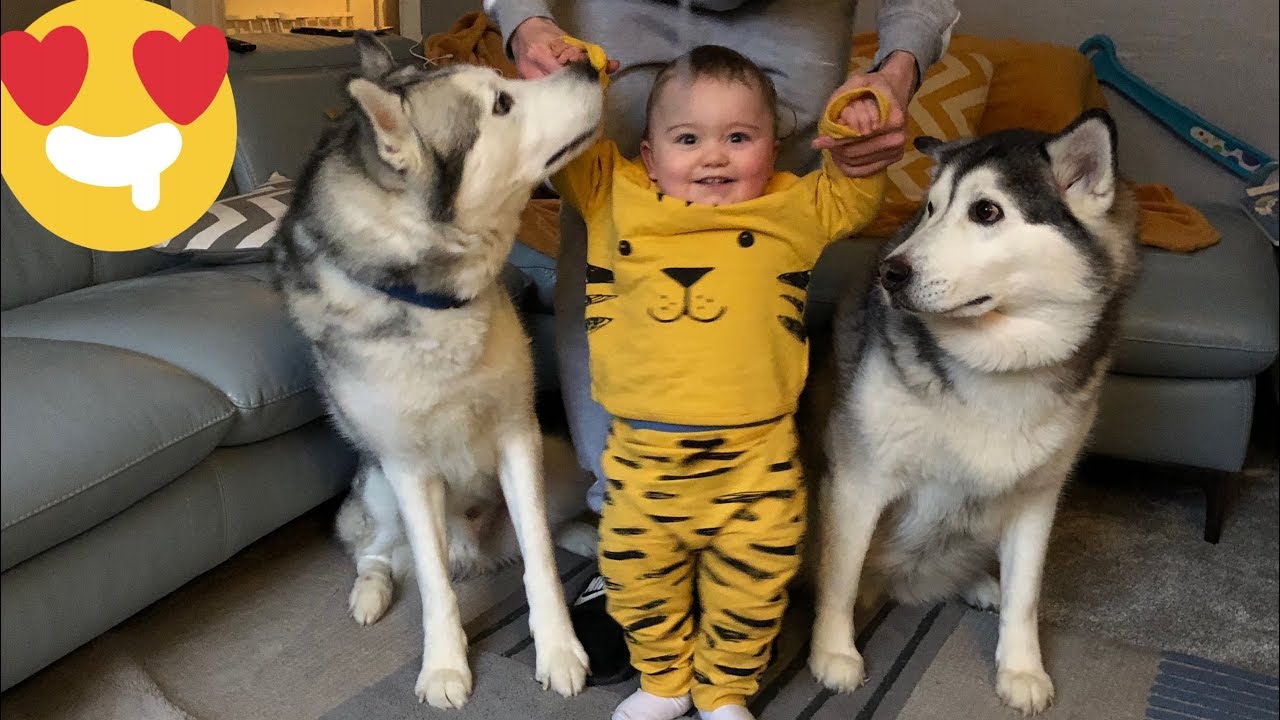 Babies First Step!! (BEST WAY TO START 2019)