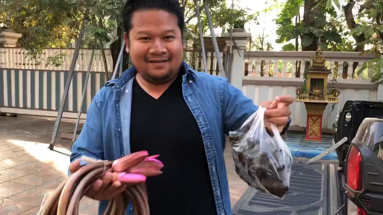 ទៀ វិចិត្រ TEA VICHET CAMBODIA 🇰🇭