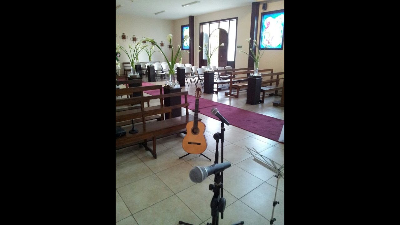 Flauta traversa, guitarra clásica, violín y voz