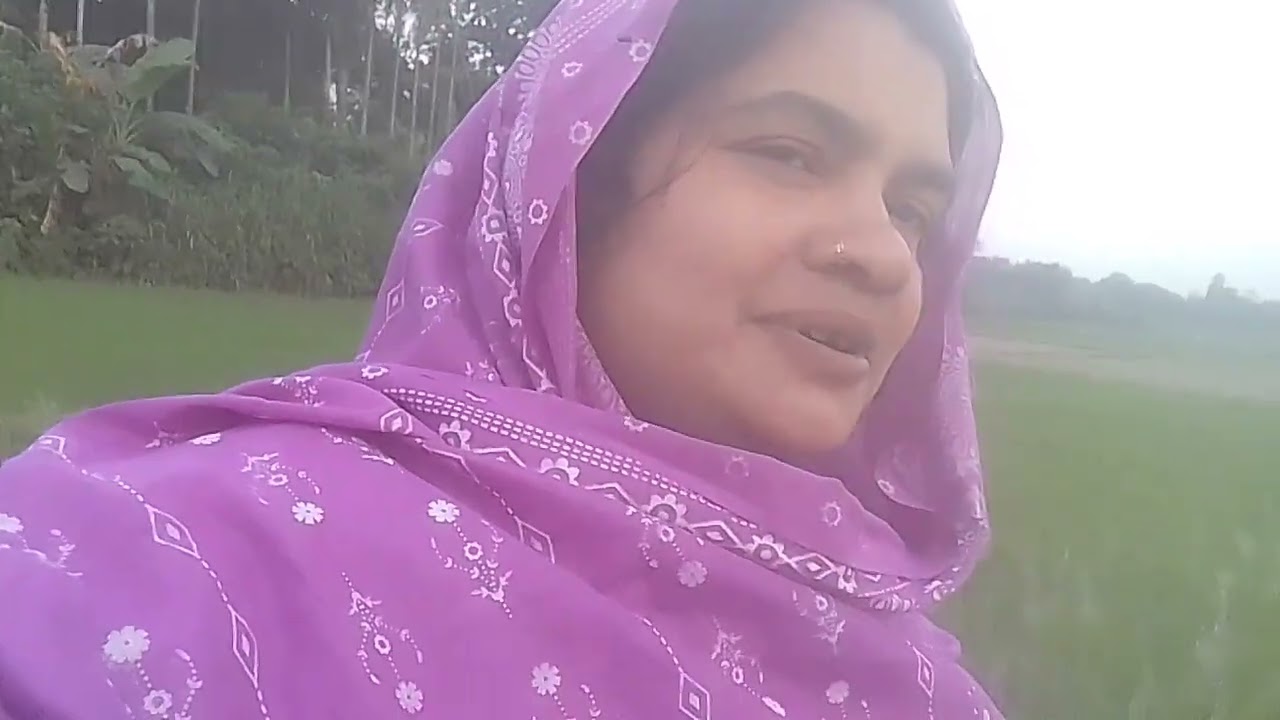 ধান ক্ষেত দেখতে  আসলাম 