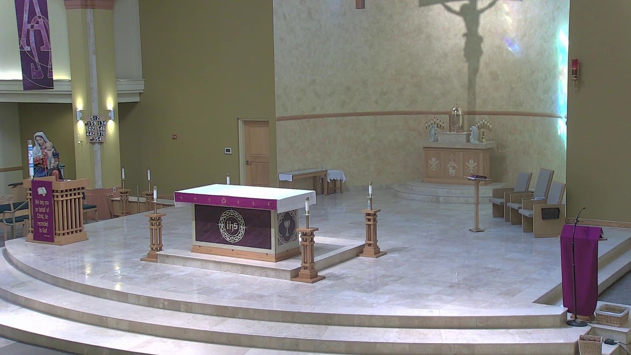 Divine Mercy-Daily Mass-Holy Rosary 02/20/2026