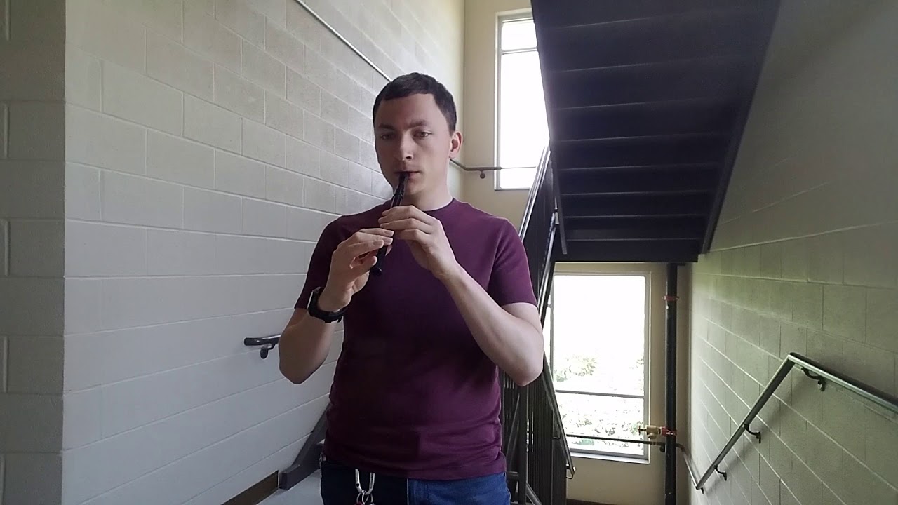 The girl I left behind me- high d tin whistle