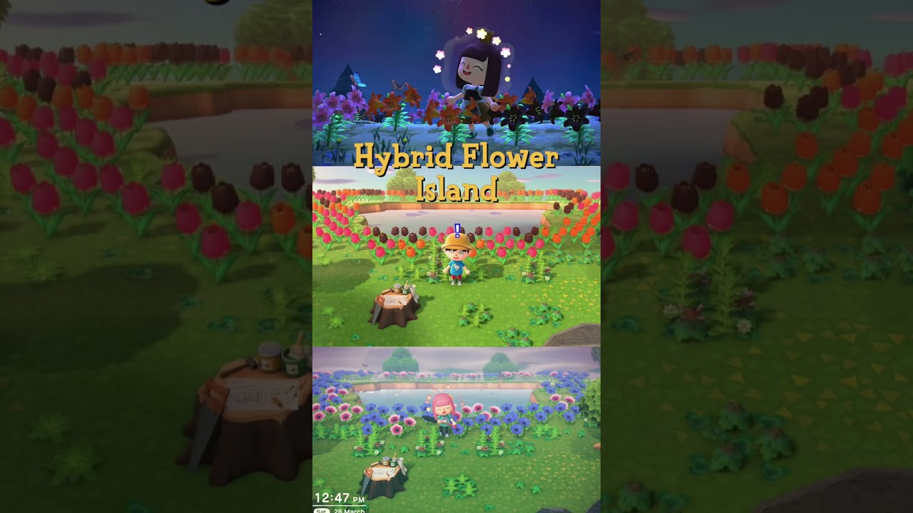 Эти функции были полностью УДАЛЕНЫ из Animal Crossing: New Horizons 😱